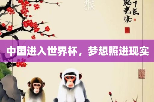 中国进入世广西贺州市华昌新材料有限公司界杯，梦想照进现实
