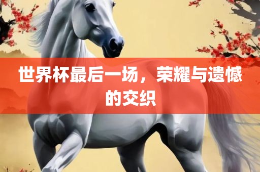 世界杯最后一场，荣耀与遗憾的交织广西贺州市华昌新材料有限公司