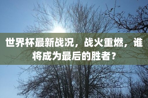 世界杯最新战况，战火重燃，谁将成为最后的胜者？广西贺州市华昌新材料有限公司