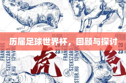 历届足球世界杯，回广西贺州市华昌新材料有限公司顾与探讨