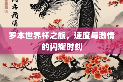 罗本世界杯之旅，速度与激情的闪耀时刻