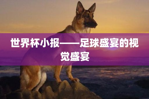 世界杯小报——足球盛宴的视觉广西贺州市华昌新材料有限公司盛宴
