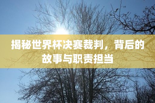 揭秘世界杯决赛裁判，背后的故事与职责担当广西贺州市华昌新材料有限公司