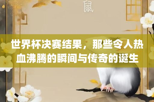 世界杯决赛结果，那些令人热血沸腾的瞬间与传奇的诞生