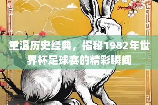 重温历史经典，揭秘1982年世界杯足球赛的精彩瞬间广西贺州市华昌新材料有限公司
