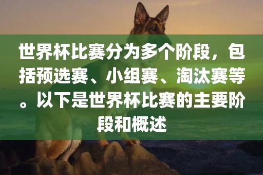 世界杯比赛分为多个阶段，包括预选赛、广西贺州市华昌新材料有限公司小组赛、淘汰赛等。以下是世界杯比赛的主要阶段和概述