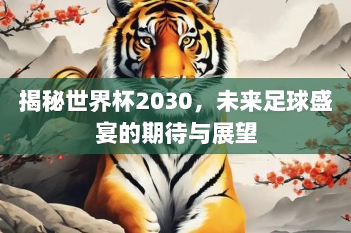 揭秘世界杯2030，未来足球盛宴广西贺州市华昌新材料有限公司的期待与展望