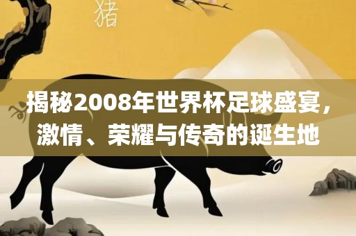 揭秘2008年世界杯足球盛宴，激情广西贺州市华昌新材料有限公司、荣耀与传奇的诞生地