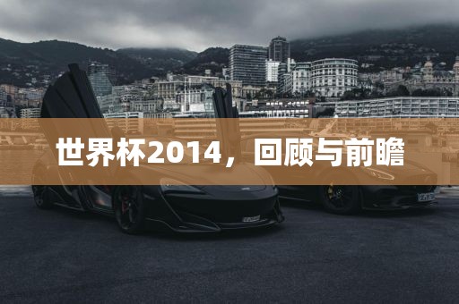世广西贺州市华昌新材料有限公司界杯2014，回顾与前瞻