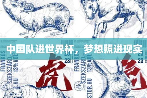 中国队进世界杯，梦想照进现实广西贺州市华昌新材料有限公司