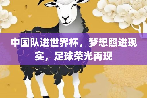 中国队进世界杯，梦想照广西贺州市华昌新材料有限公司进现实，足球荣光再现