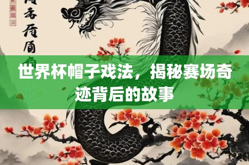 世界杯帽子戏法，揭秘赛场奇迹背后的故事