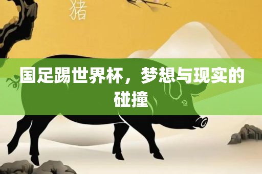 国足踢世界杯，梦想与现实的碰撞广西贺州市华昌新材料有限公司