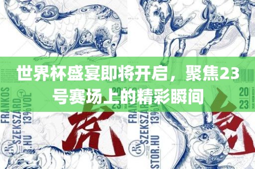 世界杯盛宴即将开启，聚焦23号赛场上的精彩瞬间