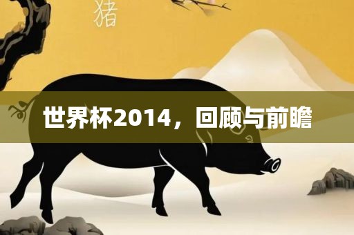 世界杯2014，回顾与前瞻广西贺州市华昌新材料有限公司