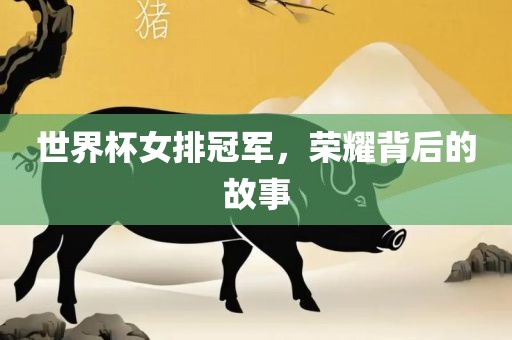 世界杯女排冠军，荣耀背后的故事广西贺州市华昌新材料有限公司