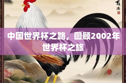 中国世界杯之路，回顾2002年世界杯之旅