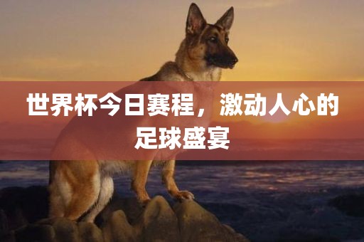 世界杯今日赛程，激动人心的足球盛宴广西贺州市华昌新材料有限公司