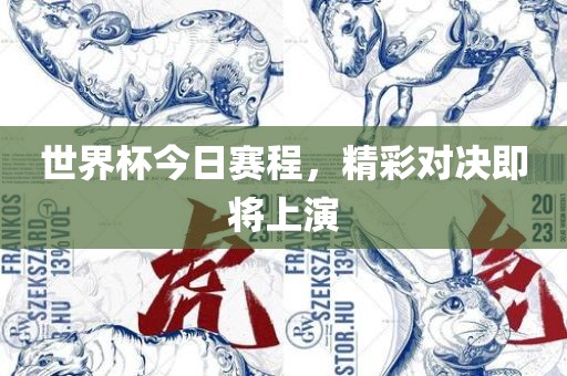 世界杯今日赛程，精彩对决即将上演广西贺州市华昌新材料有限公司