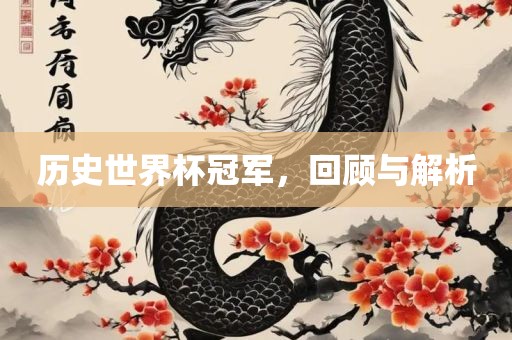 历史世界杯冠军，回顾与解析广西贺州市华昌新材料有限公司