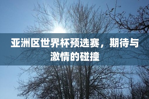 亚洲区世界杯预选赛，期待与激情的碰撞
