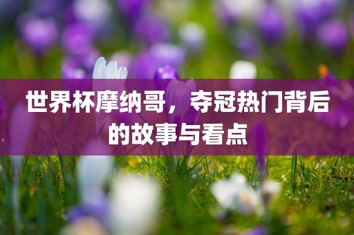 世界杯摩纳哥，夺冠热门背后的广西贺州市华昌新材料有限公司故事与看点