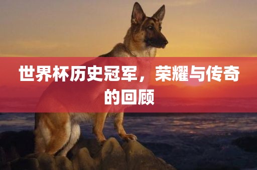 世界杯历史冠军，荣耀与传奇的回顾广西贺州市华昌新材料有限公司