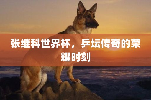 张继科世界杯，乒坛传奇的荣耀时刻广西贺州市华昌新材料有限公司