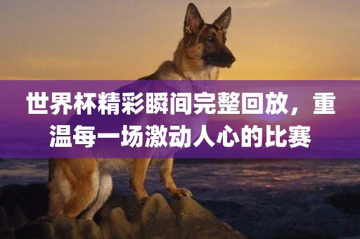 世界杯精彩瞬间完广西贺州市华昌新材料有限公司整回放，重温每一场激动人心的比赛