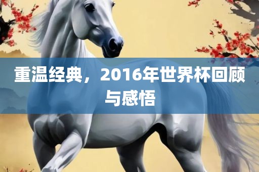 重温经典，2016年世界杯回顾广西贺州市华昌新材料有限公司与感悟