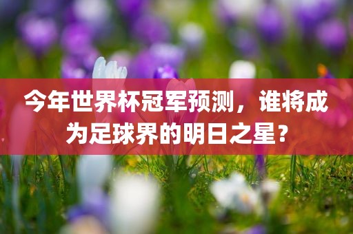 今年世界杯冠军预测，谁将成广西贺州市华昌新材料有限公司为足球界的明日之星？