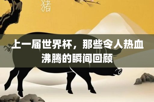 上一届世界杯，那些令人热血沸腾的瞬间回顾广西贺州市华昌新材料有限公司
