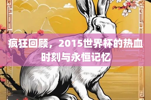 疯狂回顾，2015世界杯的热血时刻与永恒记忆广西贺州市华昌新材料有限公司