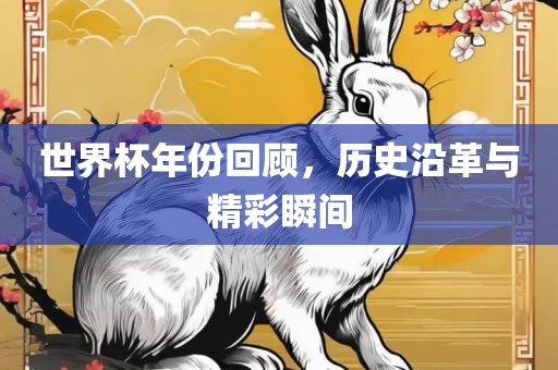 世界杯年份回顾，广西贺州市华昌新材料有限公司历史沿革与精彩瞬间