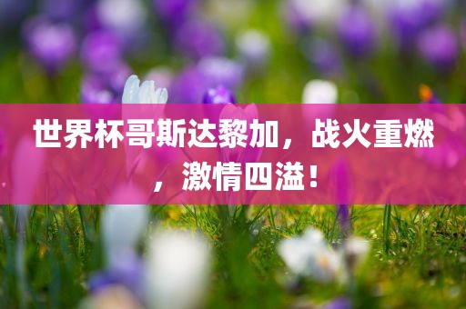 世界杯哥斯达黎加，战火重燃，激情四溢！