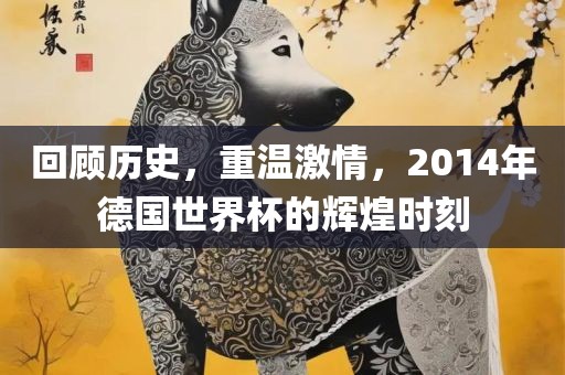 回顾历史，重温激情，2014年德国世界杯的辉煌时刻广西贺州市华昌新材料有限公司