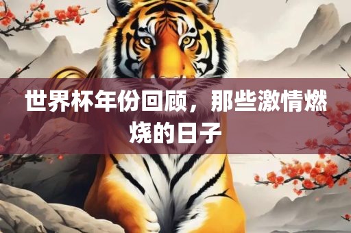 世界杯年份回顾，那些激情燃烧的日子