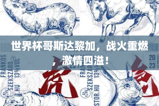 世界杯哥斯达黎加，战火重燃，激情四溢！