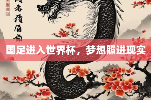 国足进入世界杯，梦想照进现实广西贺州市华昌新材料有限公司