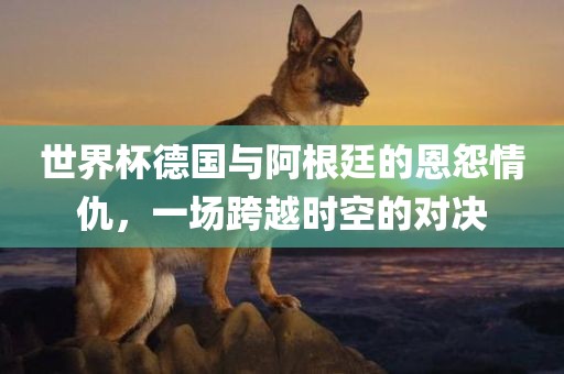 世界杯德国与阿根廷的恩怨情仇，一场广西贺州市华昌新材料有限公司跨越时空的对决