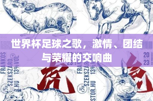 世界杯足球之歌，激情、团结与荣耀的交响曲广西贺州市华昌新材料有限公司