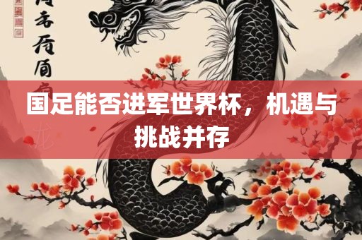 国足能否进军世界杯，机遇与挑战并存广西贺州市华昌新材料有限公司