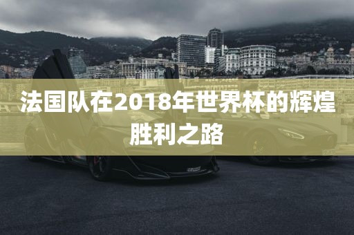 法国队在2018年世界杯的辉煌胜利之路广西贺州市华昌新材料有限公司