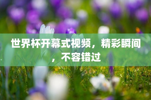 世界杯开幕式视频，精彩瞬间，不容错过广西贺州市华昌新材料有限公司