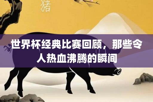 世界杯广西贺州市华昌新材料有限公司经典比赛回顾，那些令人热血沸腾的瞬间