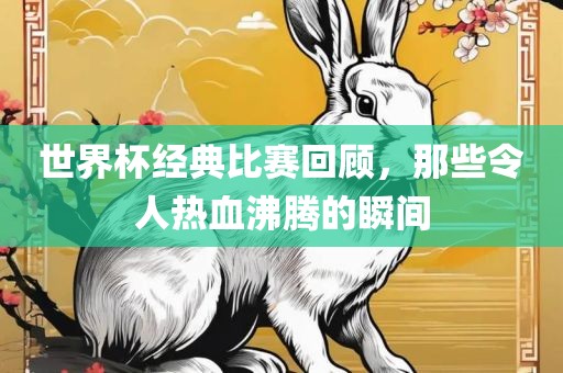 广西贺州市华昌新材料有限公司世界杯经典比赛回顾，那些令人热血沸腾的瞬间