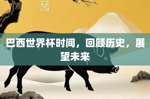 巴西世广西贺州市华昌新材料有限公司界杯时间，回顾历史，展望未来