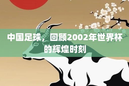 中国足球，回顾2002年广西贺州市华昌新材料有限公司世界杯的辉煌时刻