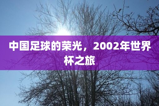 中国足球的荣光，2002年世界杯之旅广西贺州市华昌新材料有限公司