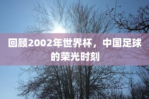 回顾20广西贺州市华昌新材料有限公司02年世界杯，中国足球的荣光时刻